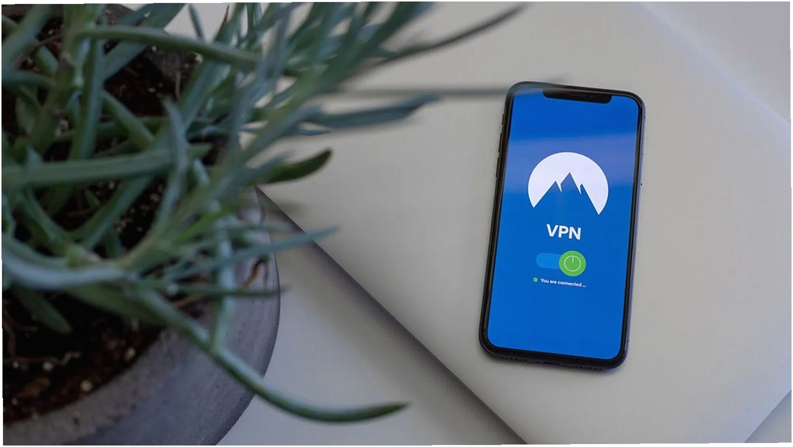 Confias En La Vpn Q 0 4