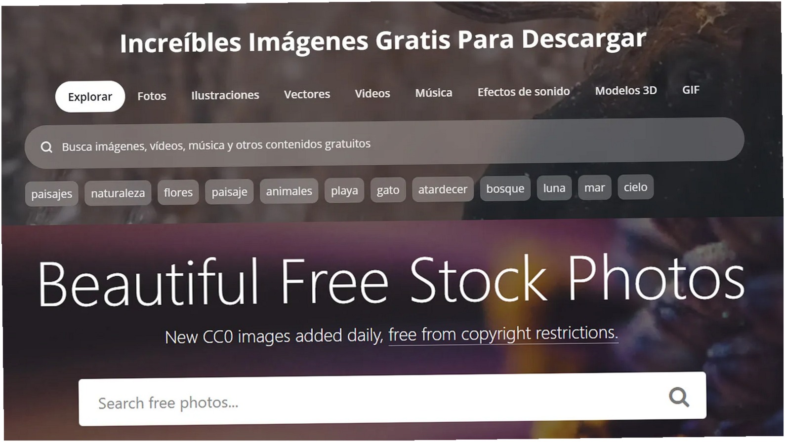 أفضل مواقع الصور المجانية عالية الجودة: بدائل مميزة عن بحث Google 4 Donde Encontrar Imag 0
