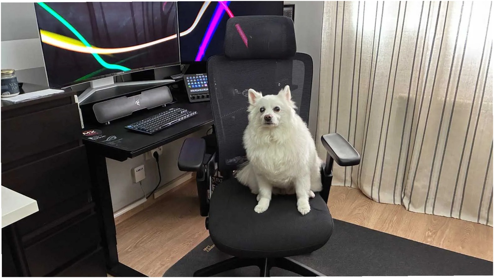Gaming Ergonomica 0
